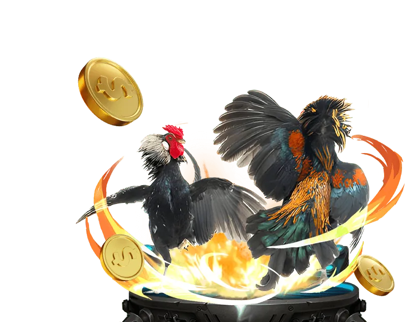 Đánh giá phong độ gà chiến