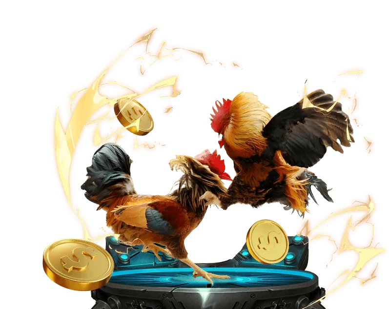 Người dùng đánh giá nền tảng cá cược